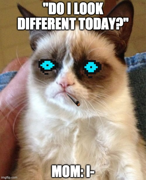 different |  "DO I LOOK DIFFERENT TODAY?"; MOM: I- | image tagged in memes,grumpy cat | made w/ Imgflip meme maker
