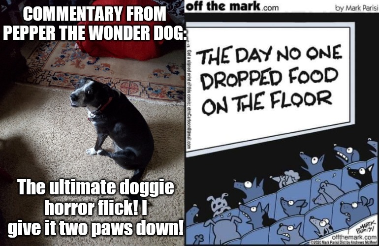 Friday night at the picture show | COMMENTARY FROM PEPPER THE WONDER DOG:; The ultimate doggie horror flick! I give it two paws down! | image tagged in pet humor | made w/ Imgflip meme maker