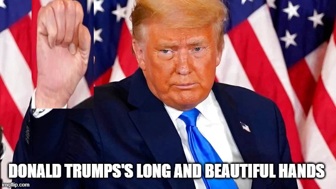 long hand lol | DONALD TRUMPS'S LONG AND BEAUTIFUL HANDS | made w/ Imgflip meme maker