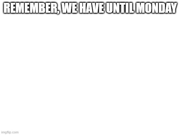 Blank White Template | REMEMBER, WE HAVE UNTIL MONDAY | image tagged in blank white template | made w/ Imgflip meme maker
