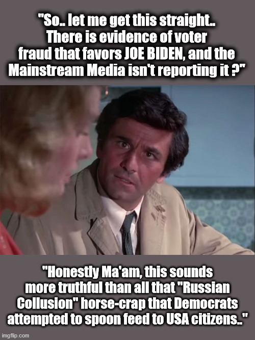 Honest truth, and it is the TRUTH | "So.. let me get this straight.. There is evidence of voter fraud that favors JOE BIDEN, and the Mainstream Media isn't reporting it ?"; "Honestly Ma'am, this sounds more truthful than all that "Russian Collusion" horse-crap that Democrats attempted to spoon feed to USA citizens.." | image tagged in columbo your a special kinda stupid,truth,democrats lie,voter fraud | made w/ Imgflip meme maker