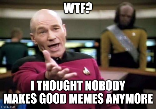 Picard Wtf Meme | WTF? I THOUGHT NOBODY MAKES GOOD MEMES ANYMORE | image tagged in memes,picard wtf | made w/ Imgflip meme maker