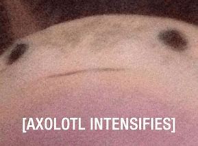 Axolotl Intensifies Blank Meme Template