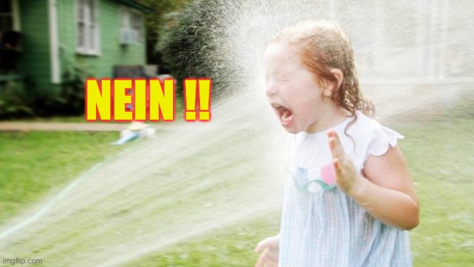 Drinking from a fire hose | NEIN !! | image tagged in drinking from a fire hose | made w/ Imgflip meme maker