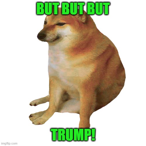 cheems | BUT BUT BUT TRUMP! | image tagged in cheems | made w/ Imgflip meme maker