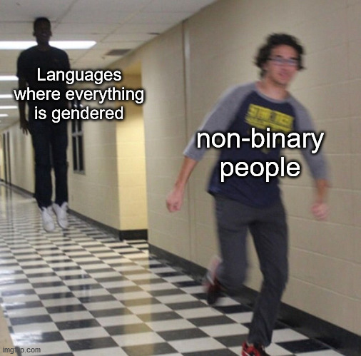 Non-binary fears | Languages where everything is gendered; non-binary people | image tagged in running away in hallway,trans,gender | made w/ Imgflip meme maker