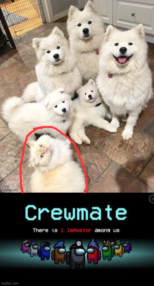 image tagged in there is 1 imposter among us | made w/ Imgflip meme maker