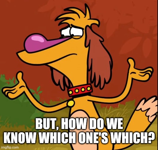 Confused Hal (Nature Cat) | BUT, HOW DO WE KNOW WHICH ONE'S WHICH? | image tagged in confused hal nature cat | made w/ Imgflip meme maker