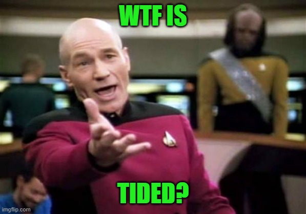 Picard Wtf Meme | WTF IS TIDED? | image tagged in memes,picard wtf | made w/ Imgflip meme maker
