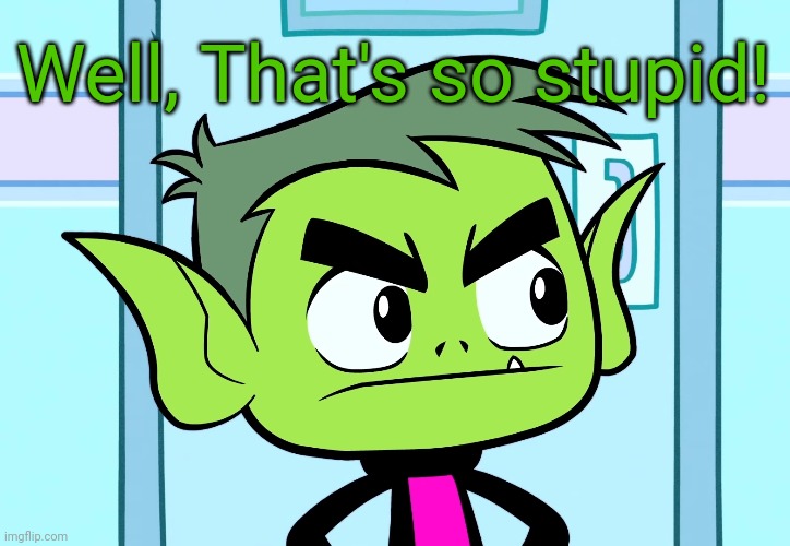 Angry Beast Boy (TTG) | Well, That's so stupid! | image tagged in angry beast boy ttg | made w/ Imgflip meme maker