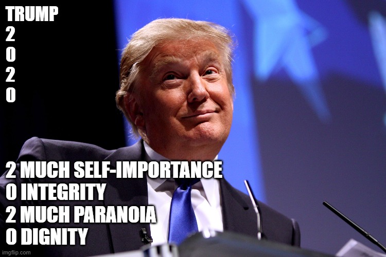Donald Trump No2 | TRUMP 
2
0
2
0; 2 MUCH SELF-IMPORTANCE
0 INTEGRITY
2 MUCH PARANOIA
0 DIGNITY | image tagged in donald trump no2 | made w/ Imgflip meme maker