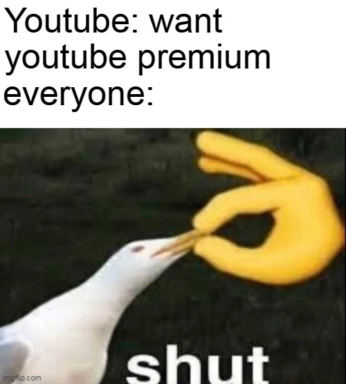 SHUT |  Youtube: want youtube premium; everyone: | image tagged in shut,memes,youtube,funny,funny memes,youtube premium | made w/ Imgflip meme maker