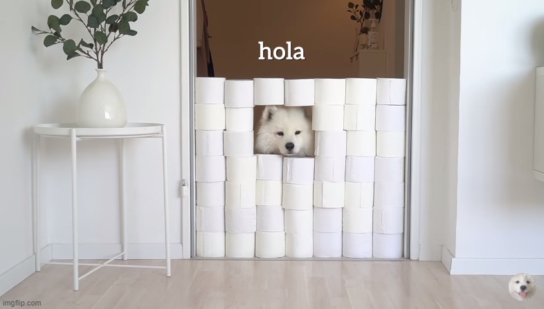 anyone wanna talk or something, im bored | image tagged in hola | made w/ Imgflip meme maker