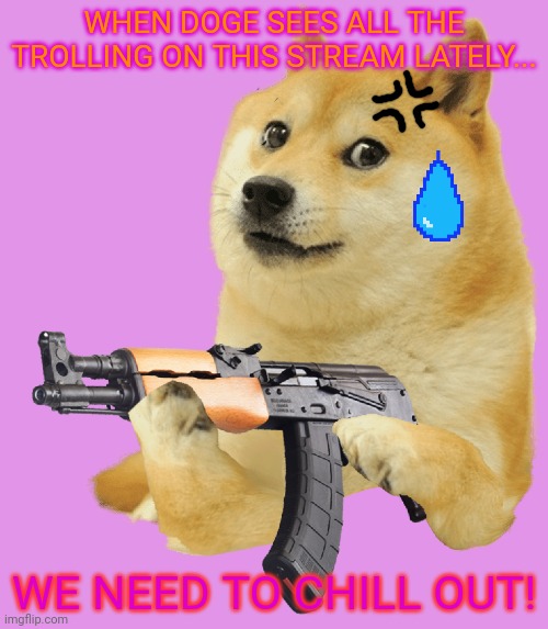 Doge knows! | WHEN DOGE SEES ALL THE TROLLING ON THIS STREAM LATELY... WE NEED TO CHILL OUT! | image tagged in trolling,memes,doge,ak47,chill out | made w/ Imgflip meme maker