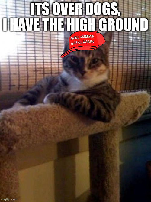 The Cat In The (MAGA) Hat | ITS OVER DOGS, I HAVE THE HIGH GROUND | image tagged in memes,the most interesting cat in the world,funny | made w/ Imgflip meme maker
