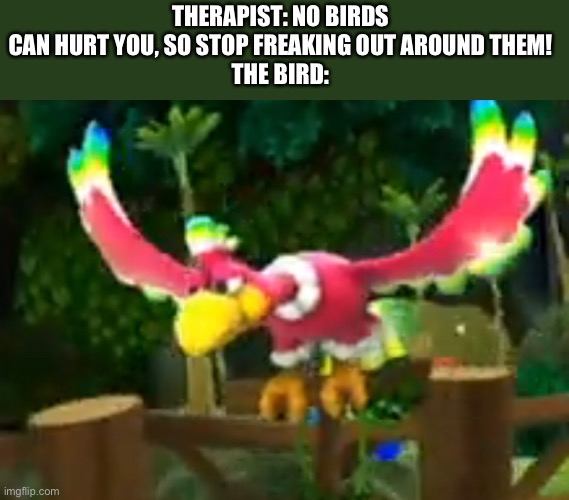 SMG2 PTSD | THERAPIST: NO BIRDS CAN HURT YOU, SO STOP FREAKING OUT AROUND THEM!
THE BIRD: | image tagged in super mario | made w/ Imgflip meme maker