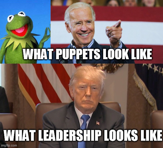  WHAT PUPPETS LOOK LIKE; WHAT LEADERSHIP LOOKS LIKE | image tagged in kermit the frog meme,cool joe biden,donald trump crossing arms | made w/ Imgflip meme maker