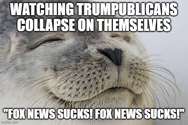 I dont have enough popcorn. | WATCHING TRUMPUBLICANS COLLAPSE ON THEMSELVES; "FOX NEWS SUCKS! FOX NEWS SUCKS!" | image tagged in memes,satisfied seal,maga,protest,trump,election fraud | made w/ Imgflip meme maker
