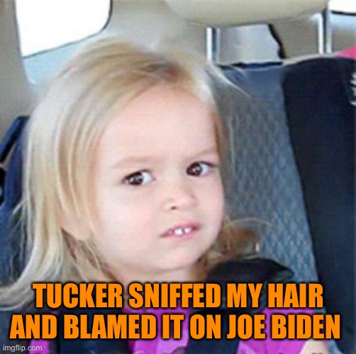 Confused Little Girl | TUCKER SNIFFED MY HAIR AND BLAMED IT ON JOE BIDEN | image tagged in confused little girl | made w/ Imgflip meme maker