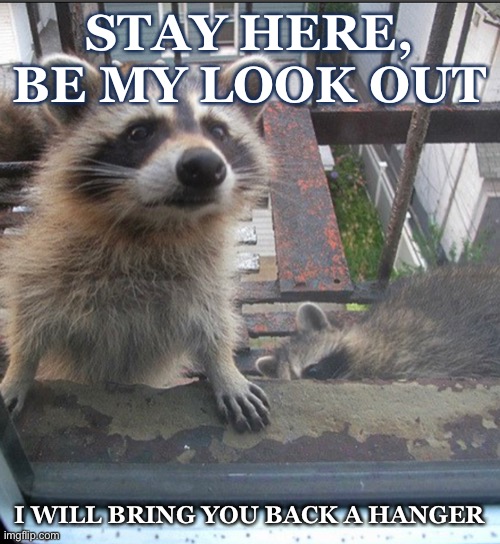 Look out | STAY HERE, BE MY LOOK OUT; I WILL BRING YOU BACK A HANGER | image tagged in bandit | made w/ Imgflip meme maker