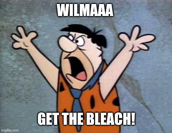 Fred Flintstone | WILMAAA GET THE BLEACH! | image tagged in fred flintstone | made w/ Imgflip meme maker