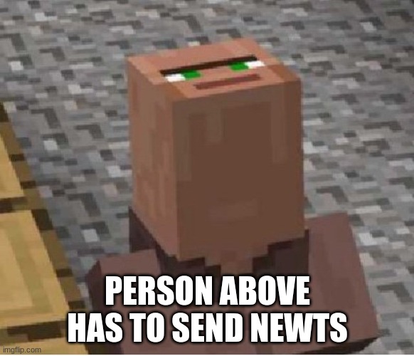 send newts pls | PERSON ABOVE HAS TO SEND NEWTS | image tagged in minecraft villager looking up | made w/ Imgflip meme maker