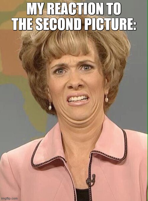 Eww | MY REACTION TO THE SECOND PICTURE: | image tagged in eww | made w/ Imgflip meme maker