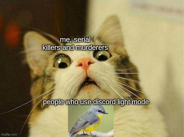 Scared Cat Meme | me, serial killers and murderers; people who use discord light mode | image tagged in memes,scared cat | made w/ Imgflip meme maker