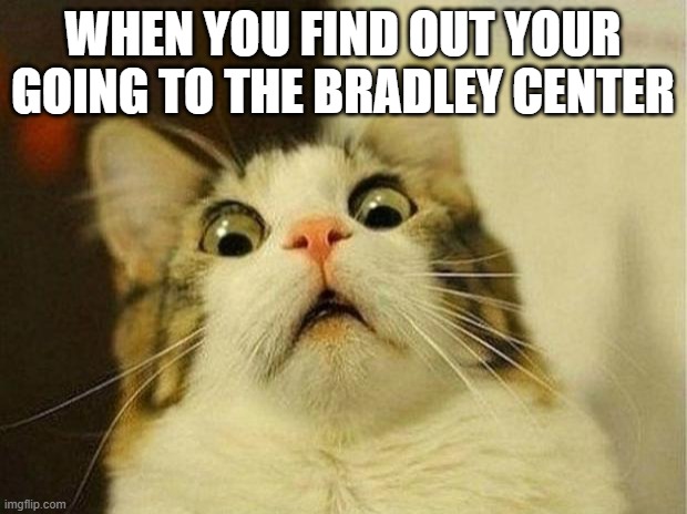 Scared Cat | WHEN YOU FIND OUT YOUR GOING TO THE BRADLEY CENTER | image tagged in memes,scared cat | made w/ Imgflip meme maker