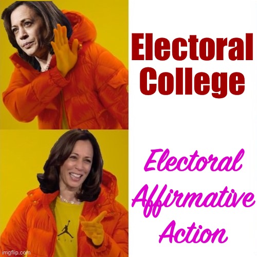 Eyyyyy | Electoral College; Electoral Affirmative Action | image tagged in kamala harris hotline bling,electoral college,affirmative action,election,elections,democracy | made w/ Imgflip meme maker