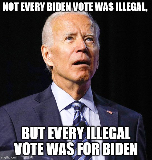 Not every Biden vote was illegal, but every illegal vote was for Biden. |  NOT EVERY BIDEN VOTE WAS ILLEGAL, BUT EVERY ILLEGAL VOTE WAS FOR BIDEN | image tagged in joe biden,vote,fraud | made w/ Imgflip meme maker