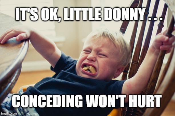Baby Trump Refuses to Concede in 2020 Election | image tagged in trump,sore loser,election 2020,tantrum,loser,baby | made w/ Imgflip meme maker