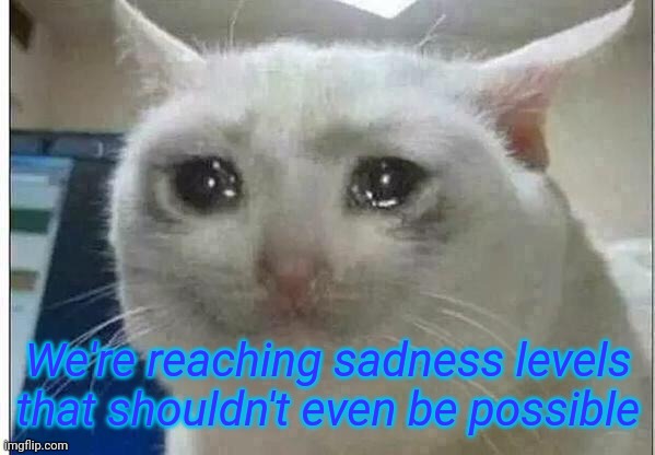 crying cat | We're reaching sadness levels that shouldn't even be possible | image tagged in crying cat | made w/ Imgflip meme maker