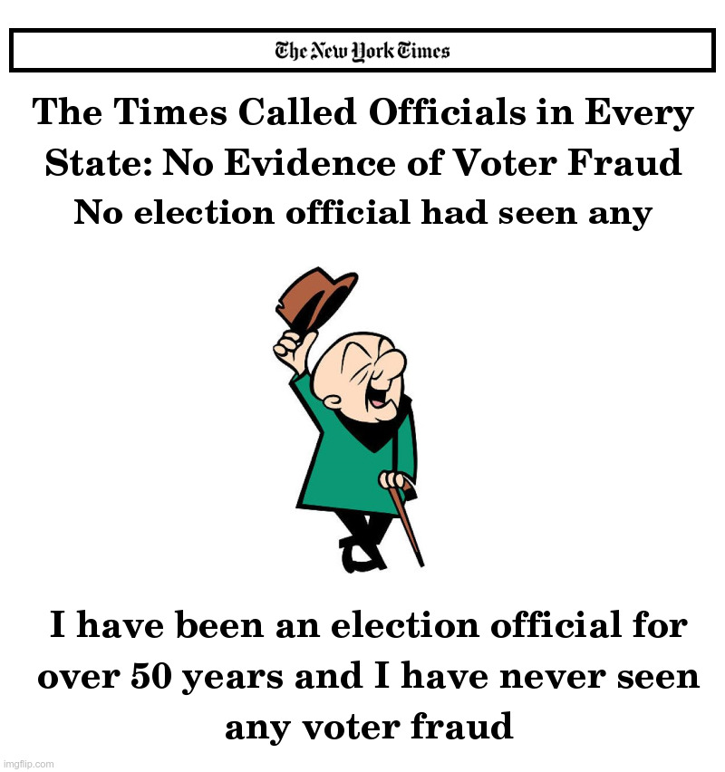 Mr. Magoo Speaks Out on Voter Fraud | image tagged in mr magoo,ny times,mainstream media,biased media,democrats,voter fraud | made w/ Imgflip meme maker