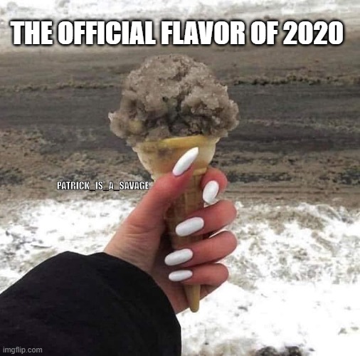 2020's official ice cream flavor | THE OFFICIAL FLAVOR OF 2020; PATRICK_IS_A_SAVAGE | image tagged in 2020 sucks,covid,corona virus,ice cream,funny,winter | made w/ Imgflip meme maker