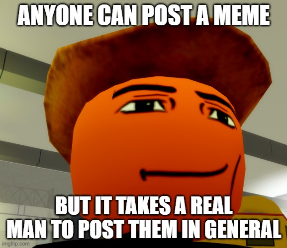 man meme | ANYONE CAN POST A MEME; BUT IT TAKES A REAL MAN TO POST THEM IN GENERAL | image tagged in roblox meme | made w/ Imgflip meme maker