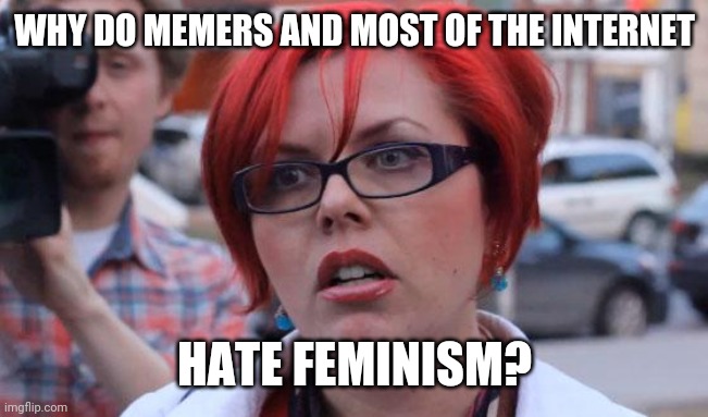 I don't get what's wrong with it | WHY DO MEMERS AND MOST OF THE INTERNET; HATE FEMINISM? | image tagged in angry feminist | made w/ Imgflip meme maker