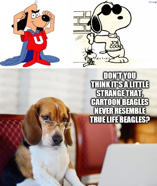 DON'T YOU THINK IT'S A LITTLE STRANGE THAT, CARTOON BEAGLES NEVER RESEMBLE TRUE LIFE BEAGLES? | image tagged in underdog,snoopy joe cool,smart beagle | made w/ Imgflip meme maker