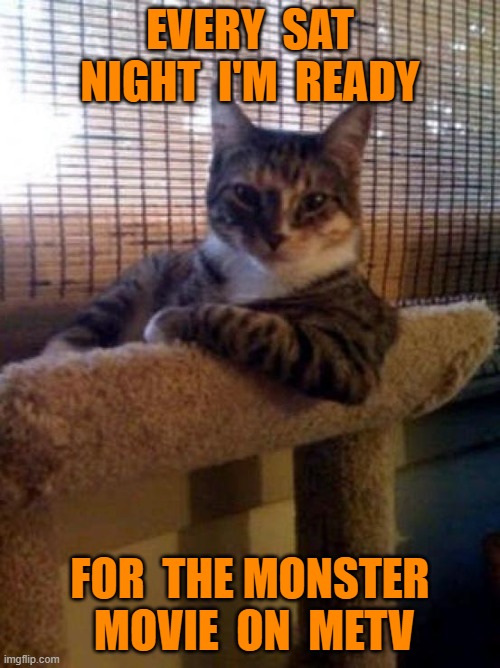 The Most Interesting Cat In The World | EVERY  SAT NIGHT  I'M  READY; FOR  THE MONSTER  MOVIE  ON  METV | image tagged in memes,the most interesting cat in the world | made w/ Imgflip meme maker