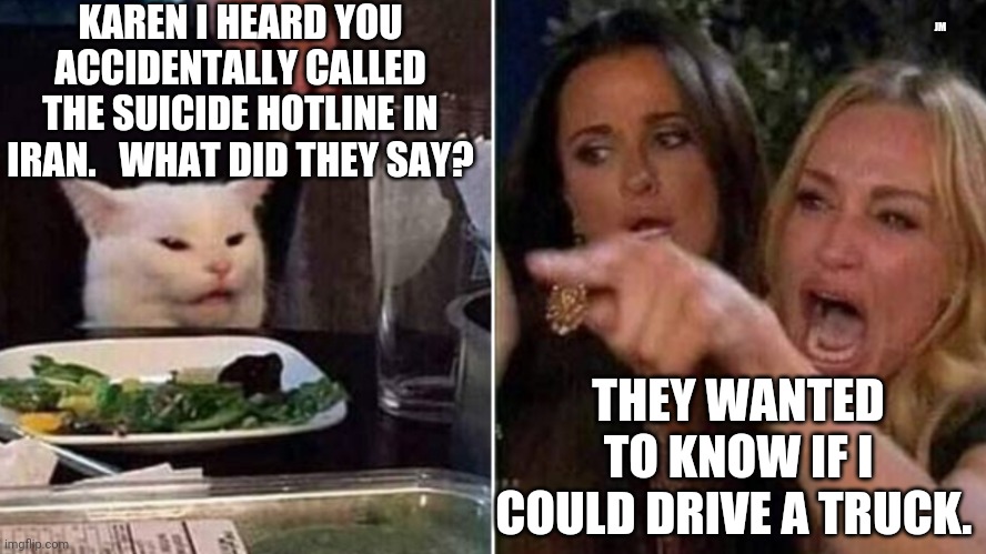 Reverse Smudge and Karen | KAREN I HEARD YOU ACCIDENTALLY CALLED THE SUICIDE HOTLINE IN IRAN.   WHAT DID THEY SAY? JM; THEY WANTED TO KNOW IF I COULD DRIVE A TRUCK. | image tagged in reverse smudge and karen | made w/ Imgflip meme maker