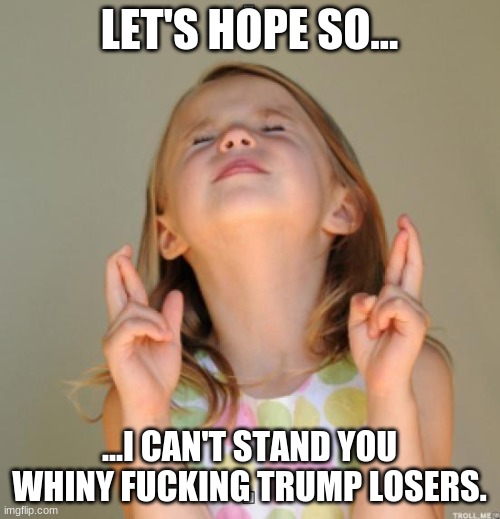 I wish | LET'S HOPE SO... ...I CAN'T STAND YOU WHINY FUCKING TRUMP LOSERS. | image tagged in i wish | made w/ Imgflip meme maker