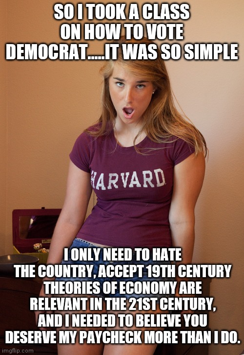 We need more classes on how to be a good Democrat | SO I TOOK A CLASS ON HOW TO VOTE DEMOCRAT.....IT WAS SO SIMPLE; I ONLY NEED TO HATE THE COUNTRY, ACCEPT 19TH CENTURY THEORIES OF ECONOMY ARE RELEVANT IN THE 21ST CENTURY, AND I NEEDED TO BELIEVE YOU DESERVE MY PAYCHECK MORE THAN I DO. | image tagged in confused girl,college liberal,democrats | made w/ Imgflip meme maker