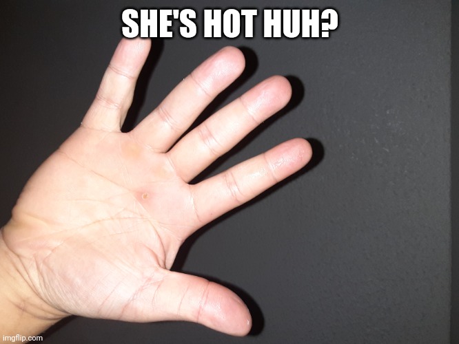 Hot | SHE'S HOT HUH? | image tagged in hot,girl,girlfriend | made w/ Imgflip meme maker