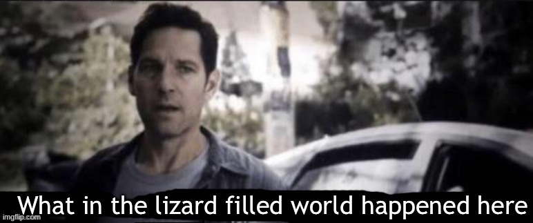 What in the lizard filled world happened here | image tagged in what in the lizard filled world happened here | made w/ Imgflip meme maker