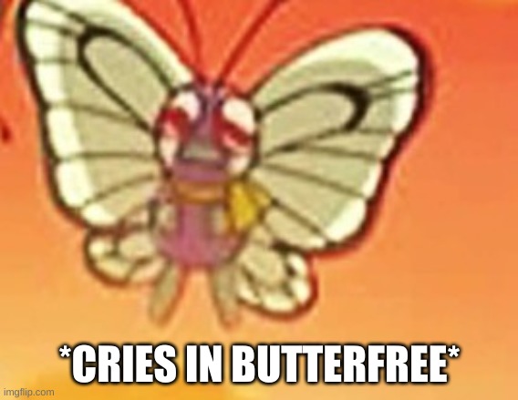 Crying butterfree | *CRIES IN BUTTERFREE* | image tagged in crying butterfree | made w/ Imgflip meme maker