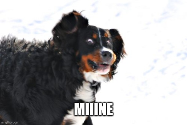 Crazy Dawg Meme | MIIINE | image tagged in memes,crazy dawg | made w/ Imgflip meme maker