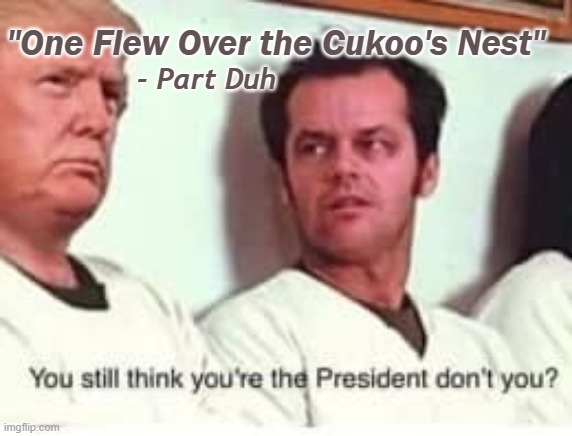 The Wicked Twit is Gone! | "One Flew Over the Cukoo's Nest"; - Part Duh | image tagged in puns,donald trump,election 2020,biden wins | made w/ Imgflip meme maker
