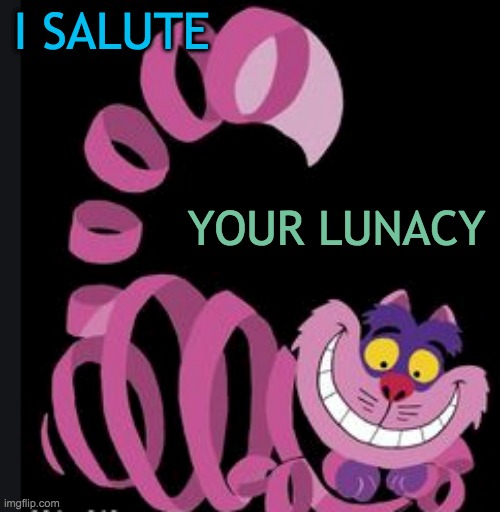 We're all mad here | I SALUTE YOUR LUNACY | image tagged in alice in wonderland,cat,crazy,cheshire cat | made w/ Imgflip meme maker