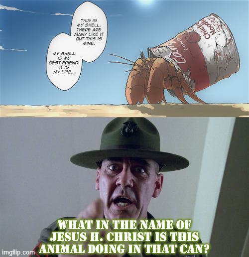 WHAT IN THE NAME OF JESUS H. CHRIST IS THIS ANIMAL DOING IN THAT CAN? | image tagged in gunnery sergeant hartman,full metal jacket,rifleman's creed,hermit crab,shell | made w/ Imgflip meme maker