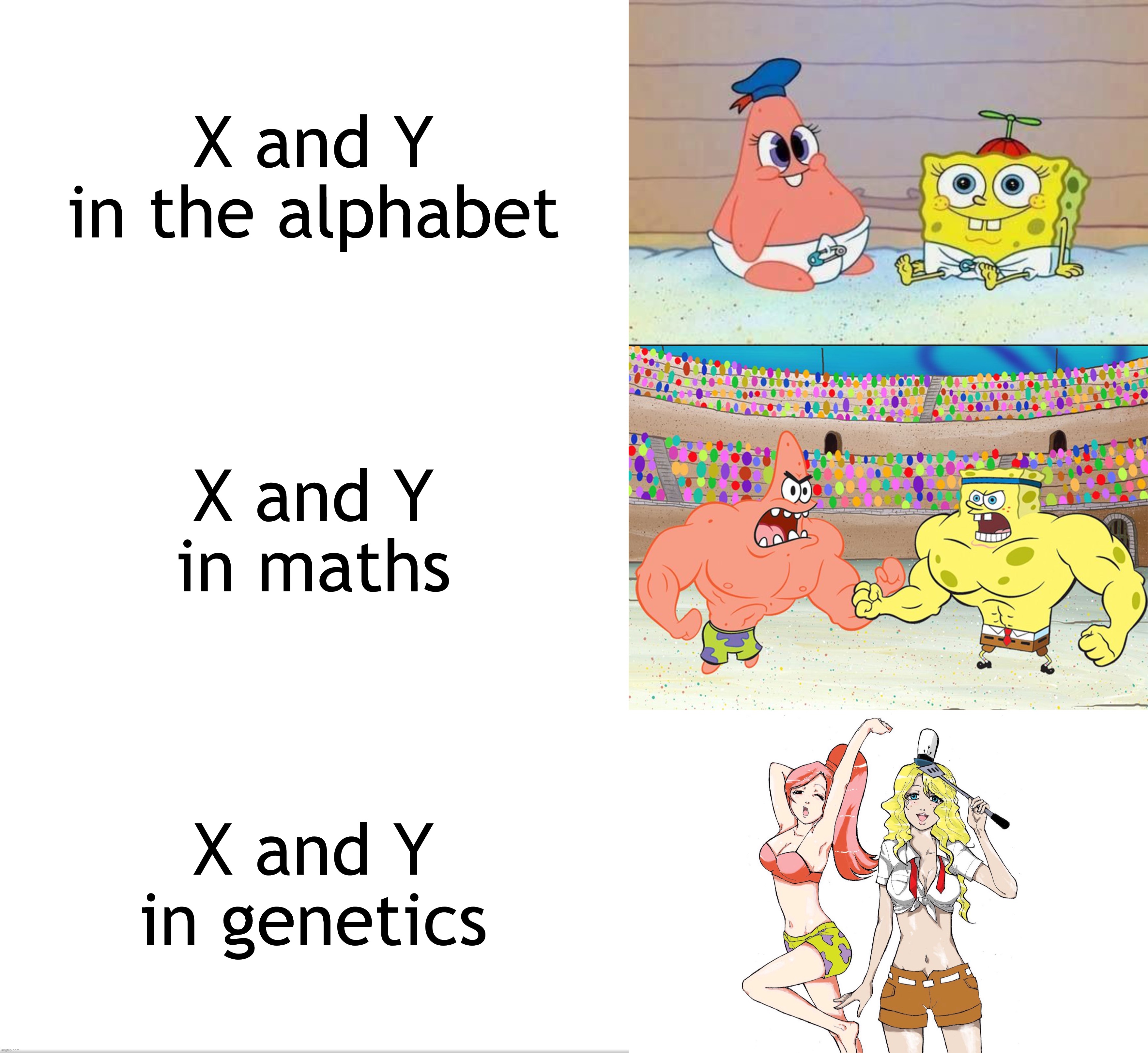 X and Y | X and Y
in the alphabet; X and Y
in maths; X and Y
in genetics | image tagged in memes,funny,math,sexy women,science,dank memes | made w/ Imgflip meme maker